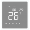 Thermostat SS-Planum-Thermo-WL  (test, non disponible)